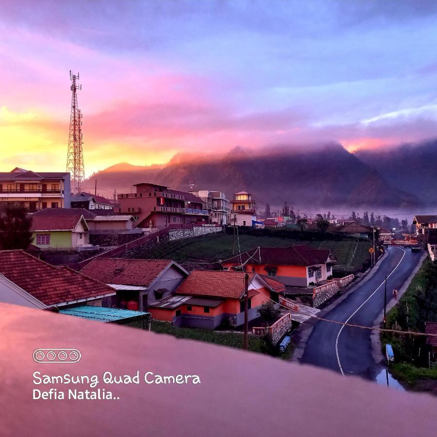 Bromo Deddy Homestay 外观 照片