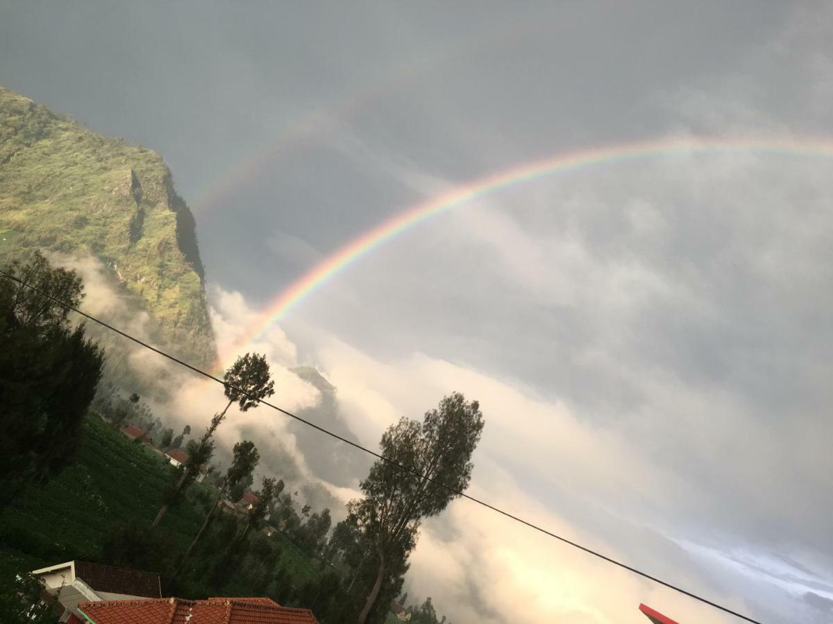 Bromo Deddy Homestay 外观 照片