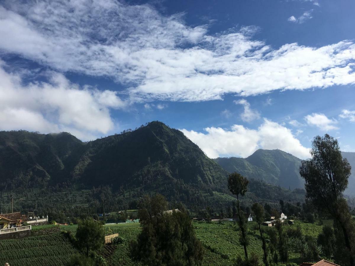 Bromo Deddy Homestay 外观 照片